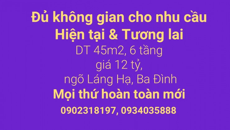 12 tỷ, 45 m2, 6 tầng,  Láng Hạ- Ngôi nhà lý tưởng của bạn đang chờ đợi